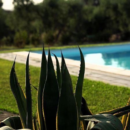 Accogliente Villa Con Piscina Кальтаджироне Экстерьер фото