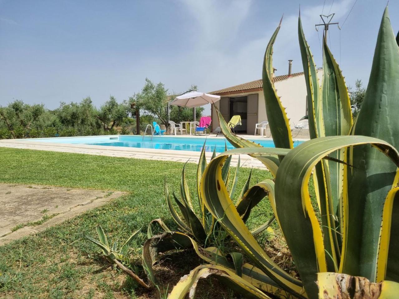 Accogliente Villa Con Piscina Кальтаджироне Экстерьер фото
