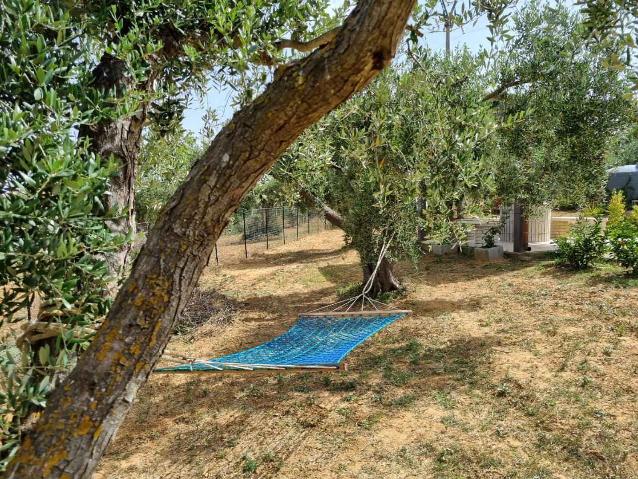 Accogliente Villa Con Piscina Кальтаджироне Экстерьер фото